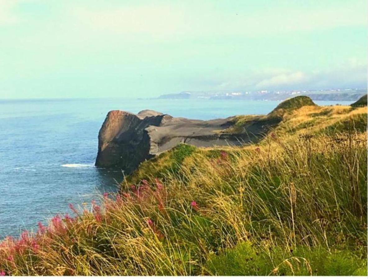 East Cliff View, Heart Of Whitby Eksteriør bilde